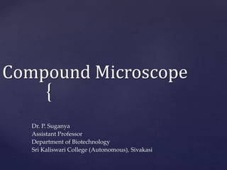 Ppt Introduction To The Oil Immersion Compound Microscope Powerpoint