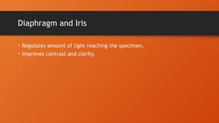 Diaphragm and Iris
• Regulates amount of light reaching the specimen.
• Improves contrast and clarity.
 