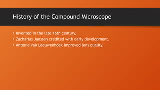 History of the Compound Microscope
• Invented in the late 16th century.
• Zacharias Janssen credited with early development.
• Antonie van Leeuwenhoek improved lens quality.
 
