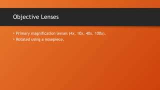 Objective Lenses
• Primary magnification lenses (4x, 10x, 40x, 100x).
• Rotated using a nosepiece.
 