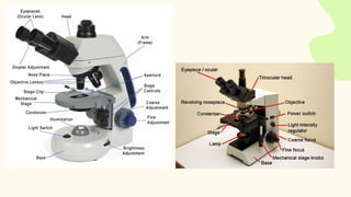 Compound Microscope Risk Assessment General knowledge about compound microscopes | PDF