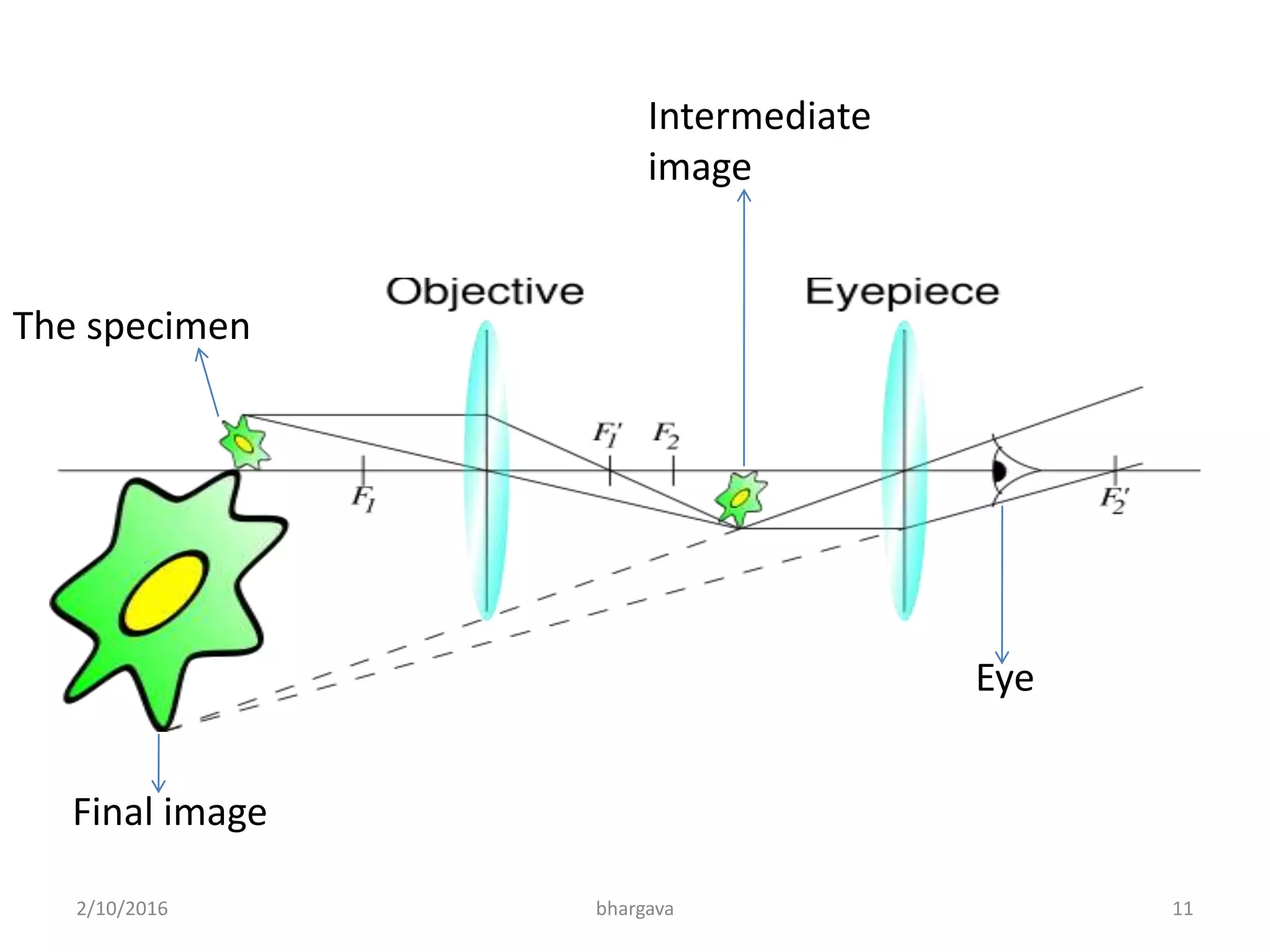 The specimen
Final image
Intermediate
image
Eye
2/10/2016 11bhargava
 