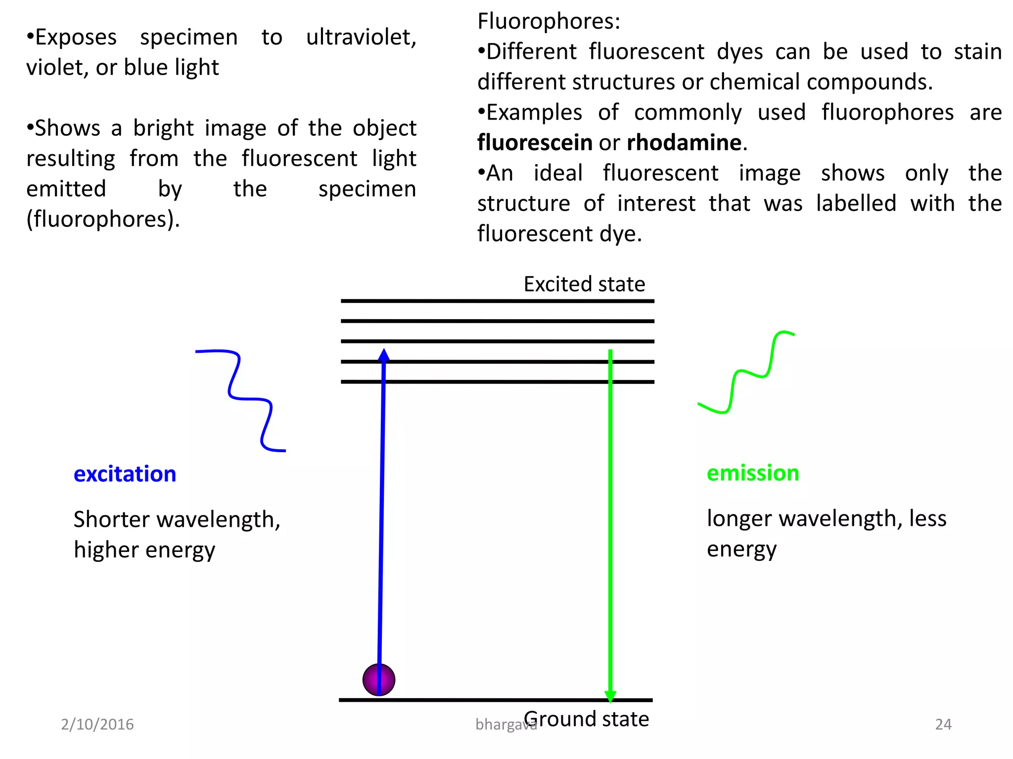 Excited state
Ground state
excitation
Shorter wavelength,
higher energy
emission
longer wavelength, less
energy
•Exposes specimen to ultraviolet,
violet, or blue light
•Shows a bright image of the object
resulting from the fluorescent light
emitted by the specimen
(fluorophores).
Fluorophores:
•Different fluorescent dyes can be used to stain
different structures or chemical compounds.
•Examples of commonly used fluorophores are
fluorescein or rhodamine.
•An ideal fluorescent image shows only the
structure of interest that was labelled with the
fluorescent dye.
2/10/2016 24bhargava
 