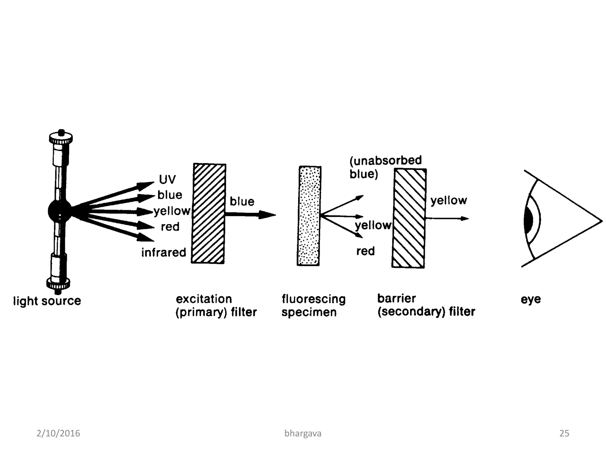 2/10/2016 25bhargava
 