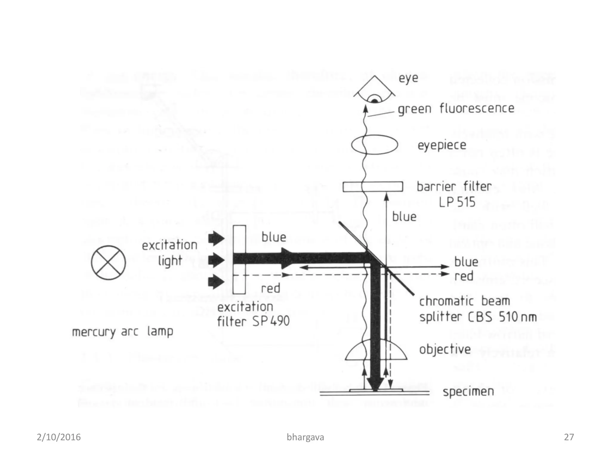 2/10/2016 27bhargava
 