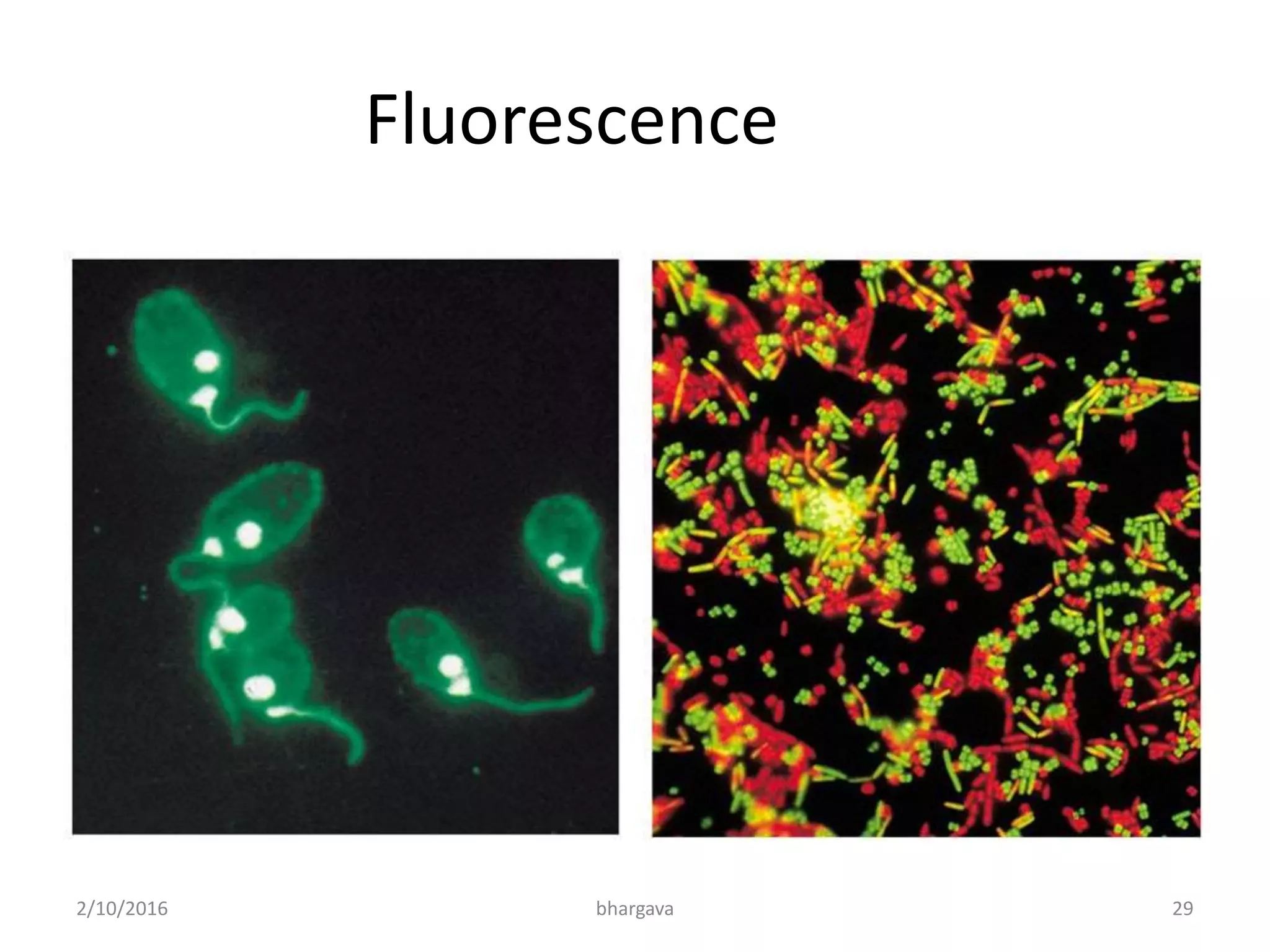 Fluorescence
2/10/2016 29bhargava
 