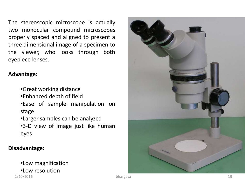 Light microscopy
