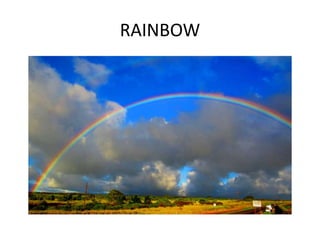 RAINBOW
 