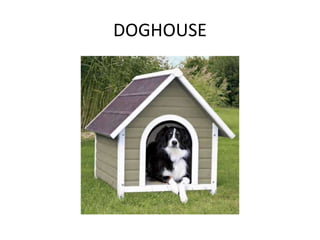 DOGHOUSE
 