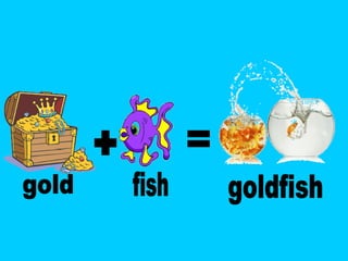 = + gold fish goldfish 