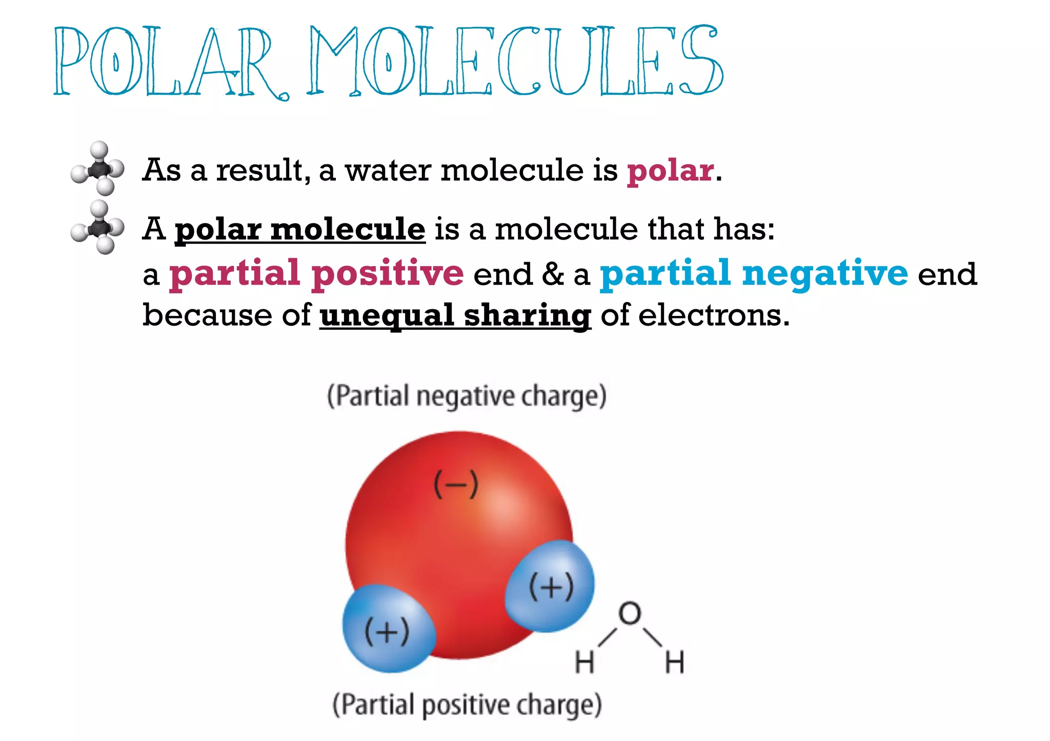 Polar Molecules
As a result, a water molecule is polar.
A polar molecule is a molecule that has:
a partial positive end & a partial negative end
because of unequal sharing of electrons.
 