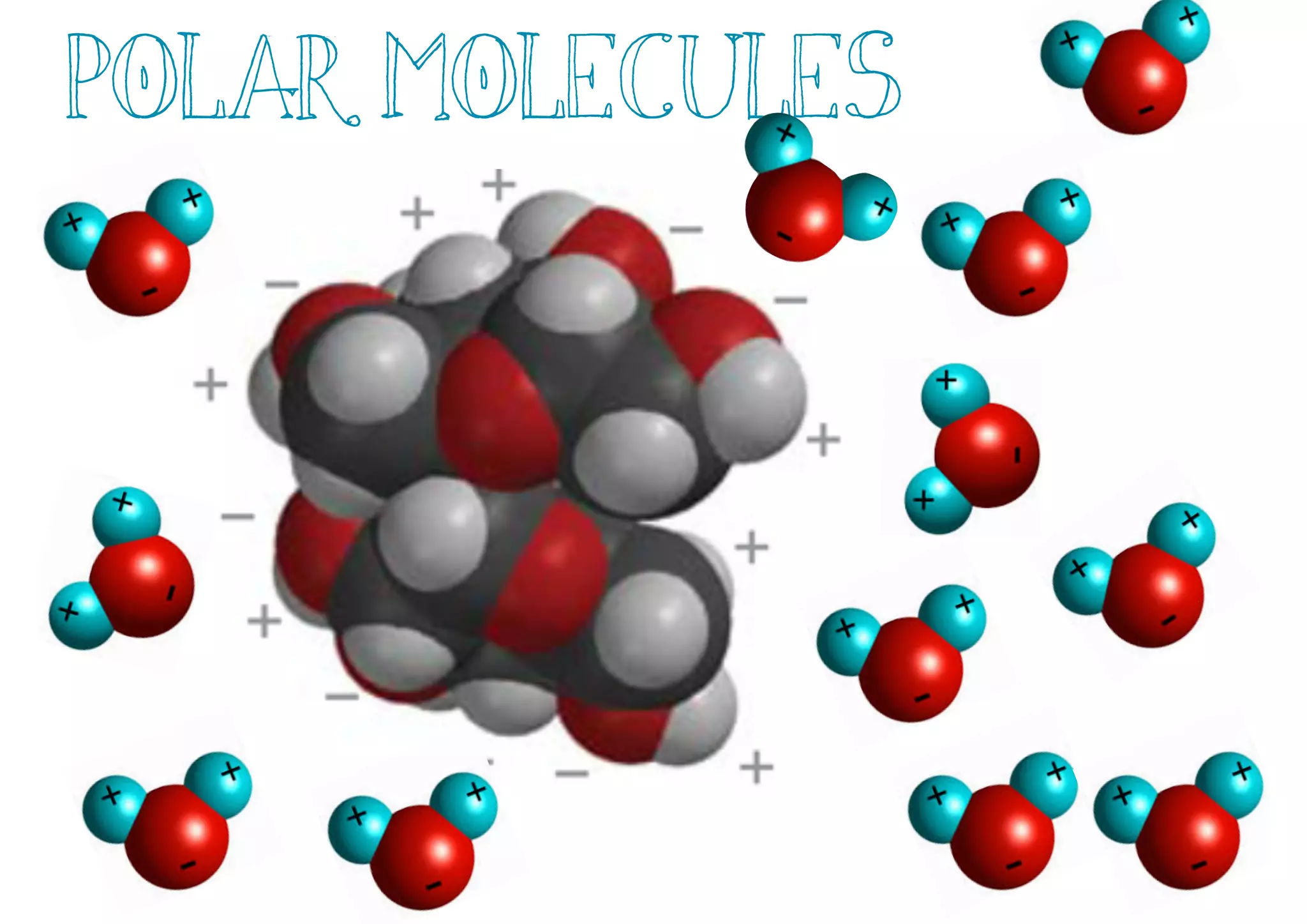 Polar Molecules
 