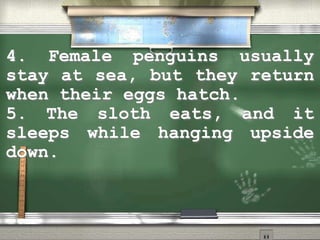 4. Female penguins usually
stay at sea, but they return
when their eggs hatch.
5. The sloth eats, and it
sleeps while hanging upside
down.
 