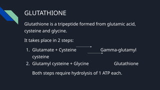 n acetyl cysteine glutathione Buy Glycine NAC Supplement Online - Glutathione main image 0