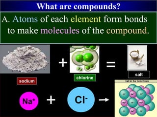 salt
What are compounds?
A. Atoms of each element form bonds
to make molecules of the compound.
sodium
+
chlorine
= salt
element compound
Na+ Cl-
+
 
