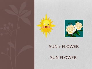 SUN + FLOWER
=
SUN FLOWER
 