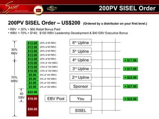 SISEL Comp Plan by Teamsizzle | PPT | Business | Business and Finance