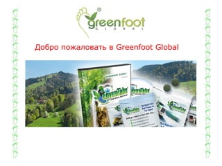 Добро пожаловать в Greenfoot Global
 
