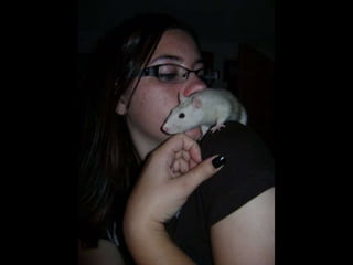 CPSC 150 PechaKucha Presentation