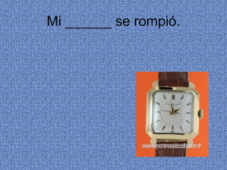 Mi ______ se rompió. 