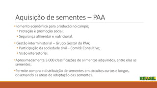 Aquisição de sementes – PAA
•Fomento econômico para produção no campo;
• Proteção e promoção social;
• Segurança alimentar e nutricional.
• Gestão interministerial – Grupo Gestor do PAA;
• Participação da sociedade civil – Comitê Consultivo;
• Visão intersetorial.
•Aproximadamente 3.000 classificações de alimentos adquiridos, entre elas as
sementes;
•Permite compra e distribuição de sementes em circuitos curtos e longos,
observando as áreas de adaptação das sementes.
 