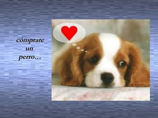 cómprate
   un
 perro…
 
