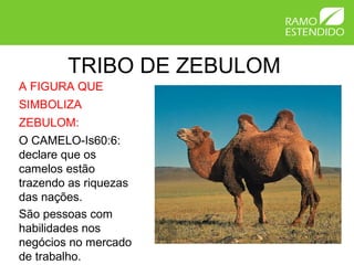 TRIBO DE ZEBULOM
A FIGURA QUE
SIMBOLIZA
ZEBULOM:
O CAMELO-Is60:6:
declare que os
camelos estão
trazendo as riquezas
das nações.
São pessoas com
habilidades nos
negócios no mercado
de trabalho.
 