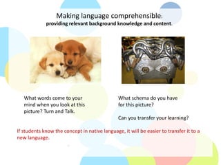 Language Comprehensibility Examples Maximizing Comprehensible Input and Output to Improve Student ...