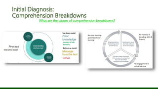Initial Diagnosis:
Comprehension Breakdowns
What are the causes of comprehension breakdowns?
 