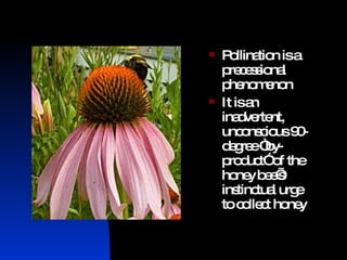 Pollination is a precessional phenomenon It is an inadvertent, unconscious 90-degree “by-product” of the honey bee’s instinctual urge to collect honey 