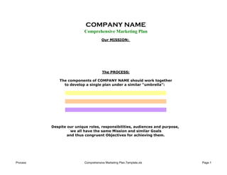 COMPANY NAME
                           Comprehensive Marketing Plan
                                       Our MISSION:




                                       The PROCESS:

              The components of COMPANY NAME should work together
                to develop a single plan under a similar “umbrella”:




          Despite our unique roles, responsibilities, audiences and purpose,
                   we all have the same Mission and similar Goals
                  and thus congruent Objectives for achieving them.




Process                    Comprehensive Marketing Plan.Template.xls           Page 1