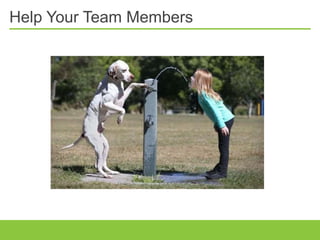Help Your Team Members
 