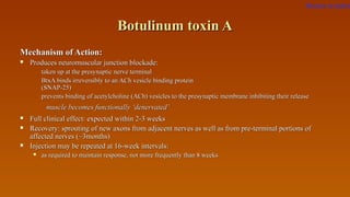 Botulinum toxin ABotulinum toxin A
Mechanism of Action:Mechanism of Action:
 Produces neuromuscular junction blockade:Produces neuromuscular junction blockade:
taken up at the presynaptic nerve terminaltaken up at the presynaptic nerve terminal
BtxA binds irreversibly to an ACh vesicle binding proteinBtxA binds irreversibly to an ACh vesicle binding protein
(SNAP-25)(SNAP-25)
prevents binding of acetylcholine (ACh) vesicles to the presynaptic membrane inhibiting their releaseprevents binding of acetylcholine (ACh) vesicles to the presynaptic membrane inhibiting their release
muscle becomes functionally ‘denervated’muscle becomes functionally ‘denervated’
 Full clinical effect: expected within 2-3 weeksFull clinical effect: expected within 2-3 weeks
 Recovery: sprouting of new axons from adjacent nerves as well as from pre-terminal portions ofRecovery: sprouting of new axons from adjacent nerves as well as from pre-terminal portions of
affected nerves (~3months)affected nerves (~3months)
 Injection may be repeated at 16-week intervals:Injection may be repeated at 16-week intervals:
 as required to maintain response, not more frequently than 8 weeksas required to maintain response, not more frequently than 8 weeks
Return to index
 