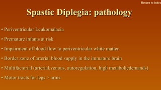 Spastic Diplegia: pathologySpastic Diplegia: pathology
•• Periventricular LeukomalaciaPeriventricular Leukomalacia
•• Premature infants at riskPremature infants at risk
•• Impairment of blood flow to periventricular white matterImpairment of blood flow to periventricular white matter
•• Border zone of arterial blood supply in the immature brainBorder zone of arterial blood supply in the immature brain
•• Multifactorial (arterial,venous, autoregulation, high metabolicdemands)Multifactorial (arterial,venous, autoregulation, high metabolicdemands)
•• Motor tracts for legs > armsMotor tracts for legs > arms
Return to index
 