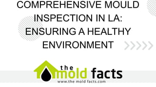 COMPREHENSIVE MOULD
INSPECTION IN LA:
ENSURING A HEALTHY
ENVIRONMENT
 