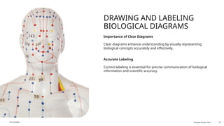 Comprehensive Overview of Biology Practical Class XI (.pptx