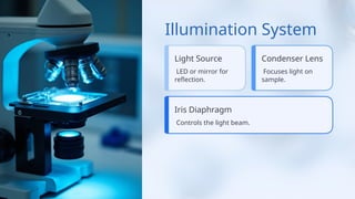 Illumination System
Light Source
LED or mirror for
reflection.
Iris Diaphragm
Controls the light beam.
Condenser Lens
Focuses light on
sample.
 