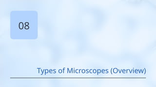 08
Types of Microscopes (Overview)
 
