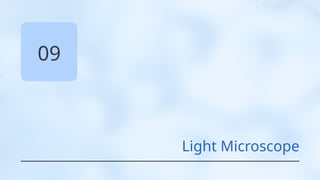 09
Light Microscope
 
