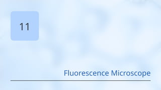 11
Fluorescence Microscope
 