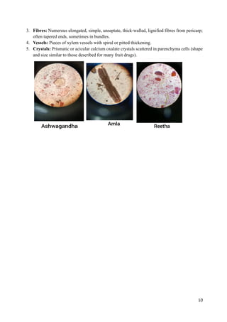 Comprehensive Practical Manual on Herbal Product Technology and ...