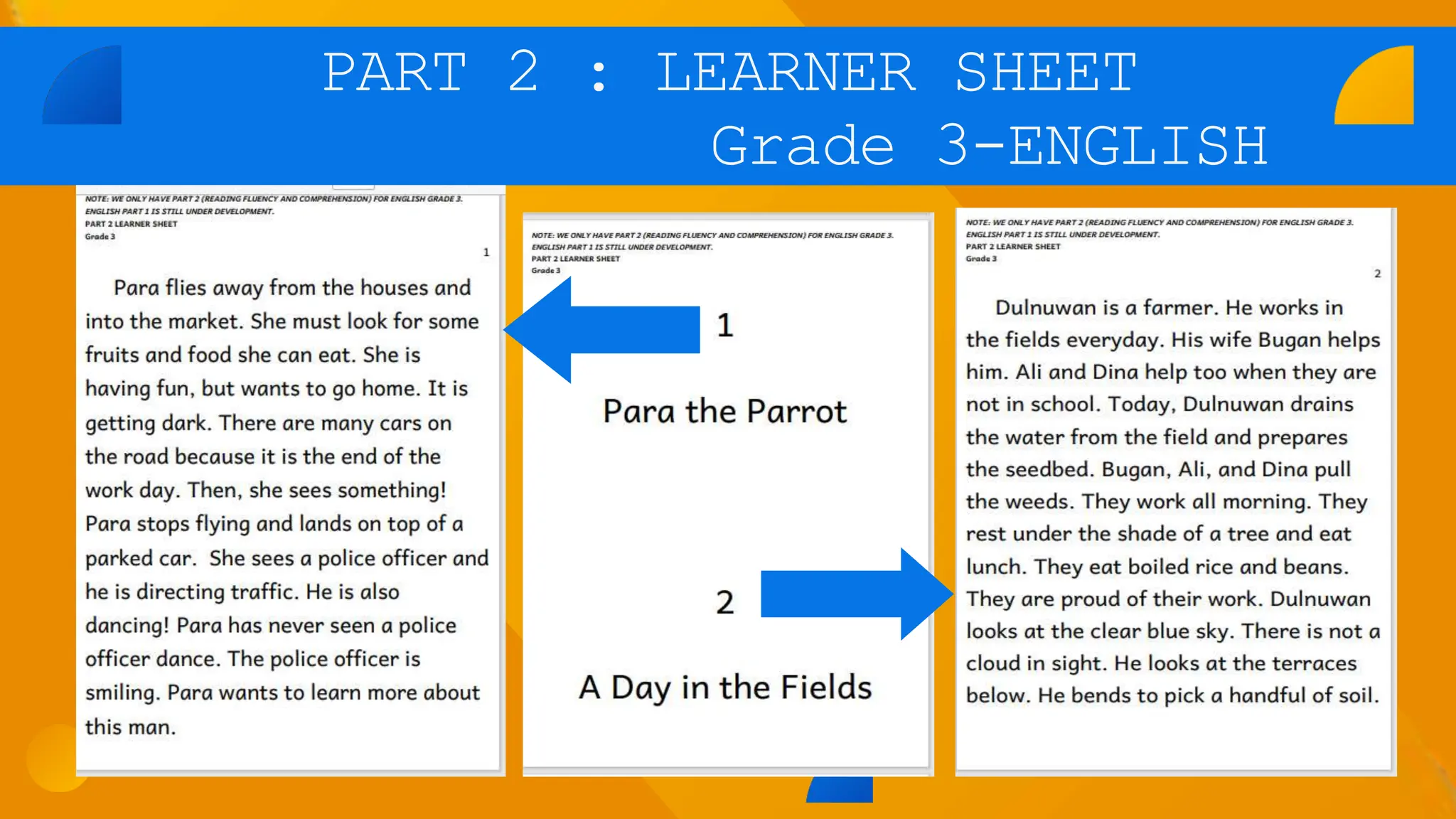 Comprehensive Rapid Literacy Assessment Pptx