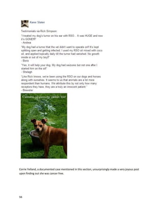 94
unexpected-lifesaver-326331971705). Afterbeingdiagnosedwithdiffuse intrinsicpontineglioma
(DIPG),anespeciallysevere cancer,she wasgiven6-12monthsto live.Doctorssaiditwouldlikelybe
closerto 6. The cancer hadwrappedaroundherbrainstem, whichcausednumerouscomplications
includingmovementandeye problems.Herparents,Ericand Bethany,beganadministeringher
cannabisoil,andat time of filminghadworkedherupto almosta gram a day.The positive effectsbegan
quickly,andLeahbeganwalking,jumping,andgoingbackto school.FromJanuary2014 to July,there
was nogrowth inthe cancer. Leah’sdoctorssupporther use of the cannabismedicine.
In Spring2011, then14-year-oldAlysaErwinwasdiagnosedwithGrade IIIanaplasticastrocytoma
(http://www.metrotimes.com/detroit/what-if-cannabis-oil-cured-cancer/Content?oid=2145865). Even
withchemotherapytreatments,she wasonlygiven18 months to live.AlysabegantakingTemedor,
whichcausedterrible side effects.Herfamilylearnedaboutthe potential of cannabisoil toeliminatethe
tumor fromthe documentaries Whatif CannabisCured Cancer andRun Fromthe Cure,and Alysabegan
takinga THC-rich oil inAugust2011. Afterthe veryfirstdose of cannabisoil,whichAlysaingested
throughan infusedpeanutbutter,she hada"miraculoustransformation."HermotherCarlystated,
"About30 minutesaftertakingcannabisoil she wasoutof her roomeatingand smiling.We knew what
we wantedafterseeingher,butwe wantedtosee whatshe wantedbecause itwasherbody.The light
was back inhereyesagain.She wasback to herself.She saidshe wasn’tdoingchemoanymore;she was
onlydoingcannabisoil."
Aftera yearof takinghighdosesof cannabisoil,aboutthree millilitersaday (roughlythree
grams),the cancer changedintofive identifiable tumors,one of whichwasnearAlysa'sbrainstem.
Doctors convincedAlysatohave six weeksof radiation, whichCarlysaidwasregrettablebecause it
causedbrainswelling.Alysacontinuedusingcannabisoil,andbyJanuary2013 wascancer free.
Astrocytomasof all typestendtorecur, whichunfortunatelyprovedtrue forAlysa
(http://www.metrotimes.com/detroit/alysa-erwins-cancer-is-back-and-doctors-wont-help-her-with-
 