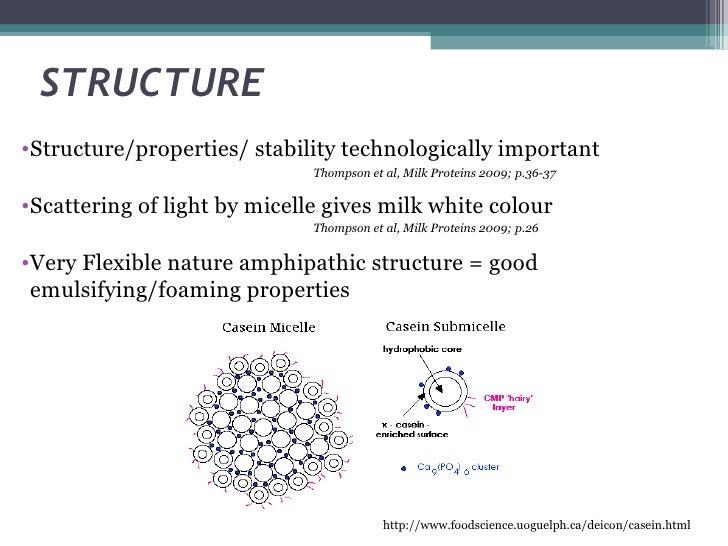 Comprehensive Review Of Whey Vs Casein Protein