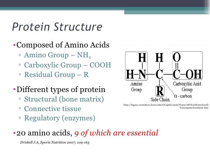 Comprehensive Review Of Whey Vs Casein Protein