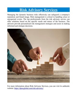 Comprehensive Risk Advisory Services | PDF