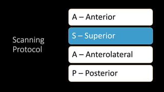Scanning
Protocol
A – Anterior
S – Superior
A – Anterolateral
P – Posterior
 