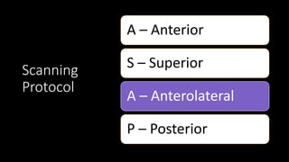 Scanning
Protocol
A – Anterior
S – Superior
A – Anterolateral
P – Posterior
 