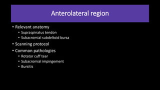 Anterolateral region
• Relevant anatomy
• Supraspinatus tendon
• Subacromial subdeltoid bursa
• Scanning protocol
• Common pathologies
• Rotator cuff tear
• Subacromial impingement
• Bursitis
 