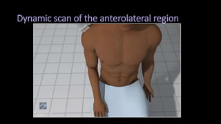 Dynamic scan of the anterolateral region
 